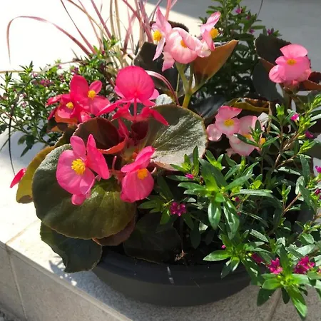 Apartment Green Paradise *